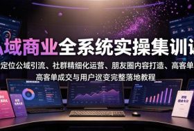 私域商业全系统实操课|IP定位公域引流、社群精细化运营、朋友圈内容打造、高客单成交与用户裂变完整落地教程