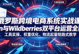 俄罗斯跨境电商系统实战课,Ozon与Wildberries双平台运营全覆盖,工具实操、权重优化、物流履约、店铺起量陪跑式教学
