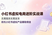 小红书虚拟电商进阶实战课，无需囤货无需发货，依托小红书虚拟产品赚取佣金