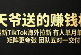 老天爷送的賺钱机会！2026最新TikTok海外拉新，有人单月单号10W+，矩阵更夸张，团队交付【揭秘】