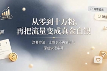 从零到十万粉，再把流量变成真金白银——这套方法，让成长不再靠运气【原创双语字幕】