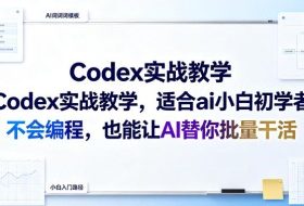 Codex实战教学，适合ai小白初学者，不会编程，也能让AI替你批量干活