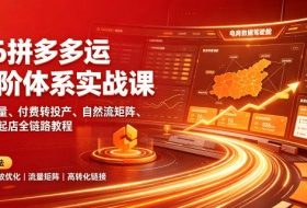 2026拼多多运营进阶体系实战课｜新版拖价稳量、付费转投产、自然流矩阵、高投产链接起店全链路教程