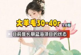 【大羊毛】几分钟30-40r，【流量体联盟】，可以矩阵，操作无脑简单