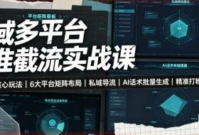 全域多平台精准截流实战课｜7大截流核心玩法、6大平台矩阵布局、私域导流、AI话术批量生成、精准打粉闭环教程
