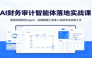 AI财务审计智能体落地实战课：搭建专属财务Agent，自制数据工具单人完成专业财税工作