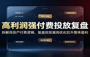 高利润强付费投放复盘:拆解高投产付费逻辑,复盘投放漏洞优化拉升整体盈利