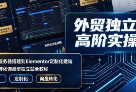 外贸独立站高阶实操课|从域名服务器搭建到Elementor定制化建站,打造高转化询盘型独立站全教程