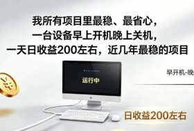 我所有项目里最稳，最省心，一台设备早上开机晚上关机，一天日收益200左右，近几年最稳的项目【揭秘】
