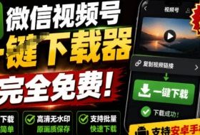 手机端也可下载微信视频号了?完全免费使用,一键解析视频号原视频和封面视频号下载助手v1.1