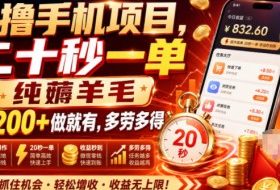 零撸手机项目，二十秒一单，纯薅羊毛一天200+做就有，多劳多得【揭秘】
