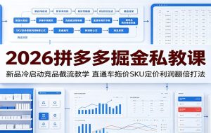 2026拼多多掘金私教课:新品冷启动竞品截流教学,直通车拖价SKU定价利润翻倍打法