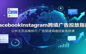 Facebook&Instagram跨境广告投放指南:公共主页运维技巧,广告搭建询盘回复系统课