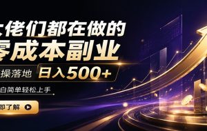 大佬们都在做的零成本副业,实操落地日入500+,小白一秒上手