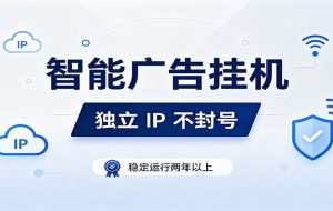 独立IP防封号,全自动运行,项目稳定落地两年以上,低门槛轻副业。