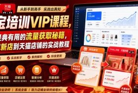 淘宝培训VIP课程，各种经典有用的流量获取秘籍，从淘宝新店到天猫店铺的实战教程（更新7月）