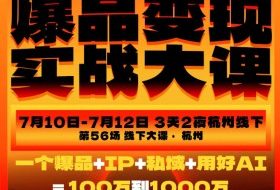 爆品变现实战大课,从爆品,到流量,到成交,一个爆品+IP+私域+用好AI=100W到1000W(7月10-12日)