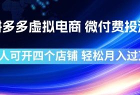 拼多多虚拟电商,微付费投流玩法,每人可开四个店,轻松月入过1W【揭秘】