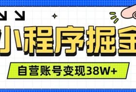 微信小程序掘金,团队自营小程序累计变现38W+,稳定运营三年,一部手机即可操作【揭秘】