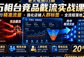 老火电商03期・万相台竞品截流实战课|抢夺同行精准流量・强化店铺人群标签・全流程落地20讲
