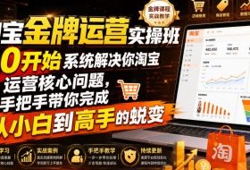 淘宝金牌运营实操班,从0开始系统解决你淘宝运营核心问题,手把手带你完成从小白到高手的蜕变(2026年7月)