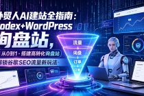 外贸人AI建站全指南：Codex+WordPress从0到1·搭建高转化询盘站·解锁谷歌SEO流量新玩法