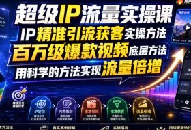 超级IP流量实操课,IP精准引流获客实操方法,百万级爆款视频底层方法,用科学的方法实现流量倍增