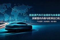 付费文章：新能原车的行业现状和未来展望，拆解国内内卷与欧洲出口机遇