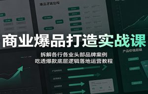 商业爆品打造实战课：拆解各行各业头部品牌案例，吃透爆款底层逻辑落地运营教程