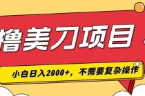 撸美刀，单日收入2000+，小白可做