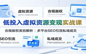 低投入虚拟资源变现实战课：合规版权类目解析，多平台SEO引流私域成交