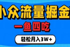 抓住单身经济风口!小众流量一鱼四吃,普通人也能月入3W+【揭秘】
