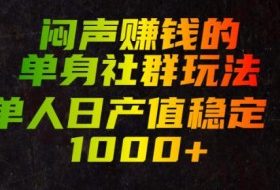 闷声賺钱的单身社群玩法，单人日产值稳定1000+【揭秘】