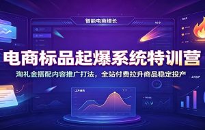 电商标品起爆系统特训营：淘礼金搭配内容推广打法，全站付费拉升商品稳定投产