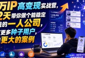 百万IP高变现实战营，42天带你做个能稳定賺钱的一人公司，培育更多种子用户，拿到更大的案例