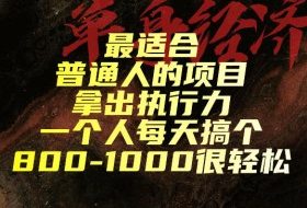 最适合普通人的项目,拿出执行力一个人每天搞个800-1k很轻松【揭秘】