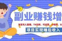 2026年多个真实落地副业项目，手把手带你搭建被动收入管道（淘宝无人直播、海外TK拉新…