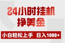 24小时挂机挣美金，小白轻松上手，日入1000+