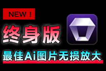 Win/Mac双端支持！最新永久终身版，支持老照片修复，图片变清晰无损放大工具，Aiarty Image Enhancer