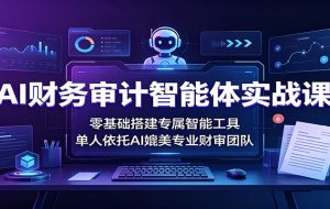 AI财务审计智能体实战课：零基础搭建专属智能工具，单人依托AI媲美专业财审团队