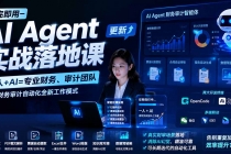 学完即用—AI Agent实战落地课-更新:一人+AI=专业财务、审计团队,解锁财务审计自动化全新工作模式