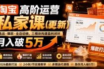 淘宝高阶运营私家课(更新26年):选品、爆款、全店动销,三模块构建盈利闭环,月入破5万