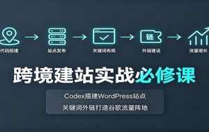 跨境建站实战必修课：Codex搭建WordPress站点，关键词外链打造谷歌流量阵地