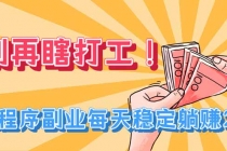 别再瞎打工！小程序副业每天稳定躺赚200+