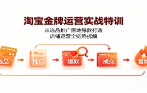 淘宝金牌运营实战特训:从选品推广落地爆款打造,店铺运营全链路拆解