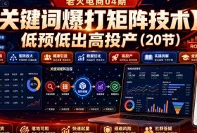 老火电商04期:【关键词爆打矩阵技术】低预低出高投产(20节)