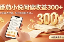 全自动番茄挂机玩法,日入300+,操作门槛低,一台电脑即可开展
