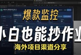 抖音爆款数据监控工具_海外网盘拉新渠道