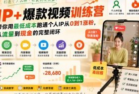 IP+爆款视频训练营，带你用最低成本跑通个人IP从0到1涨粉，从流量到现金的完整闭环