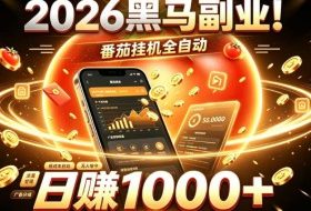 2026黑马副业！番茄挂G全自动日入1000+，操作最简单、门槛最低的线上轻资产项目【揭秘】